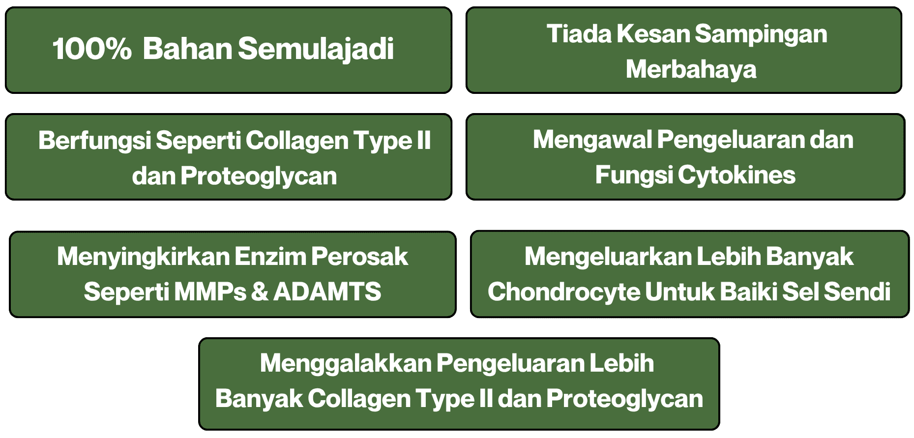Biovytal-JointActiv-Osteorthritis-Kebaikkan Biovytal-JointActiv-Osteorthritis-Kebaikkan